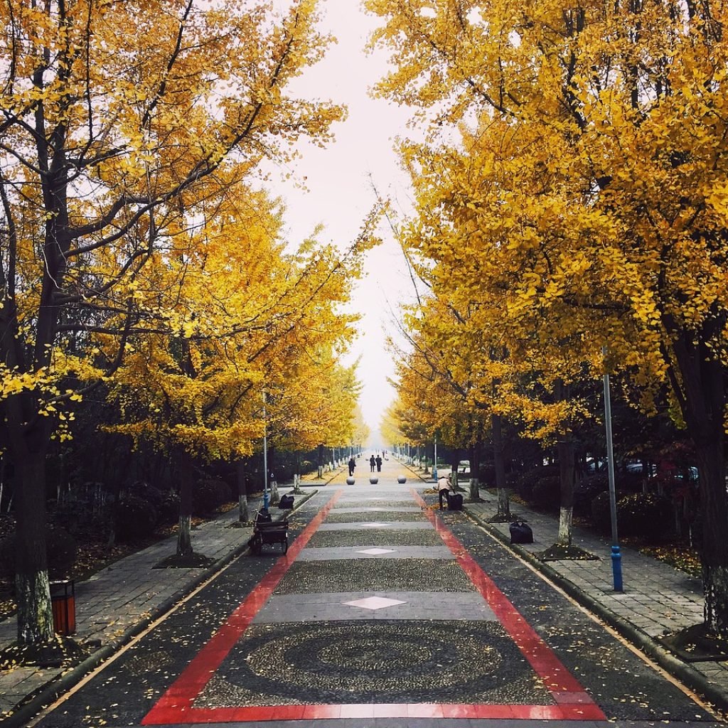 Autumn in Chengdu