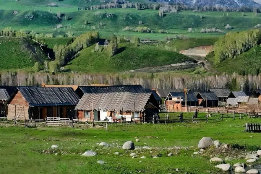 7 Day Private Tour: Silk Road Heritage & North Xinjiang’s Nature